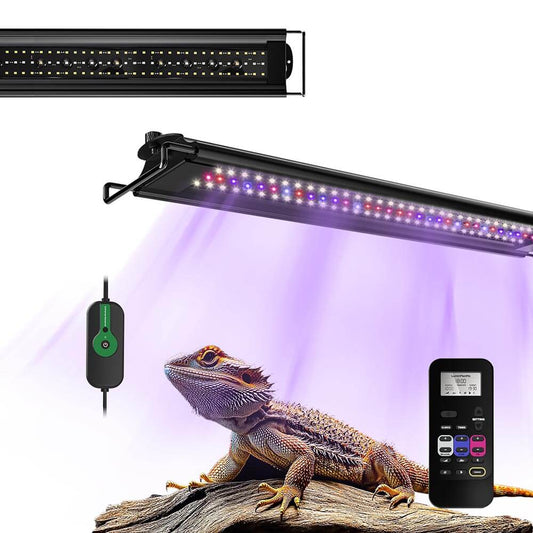 Lighting For Bearded Dragons