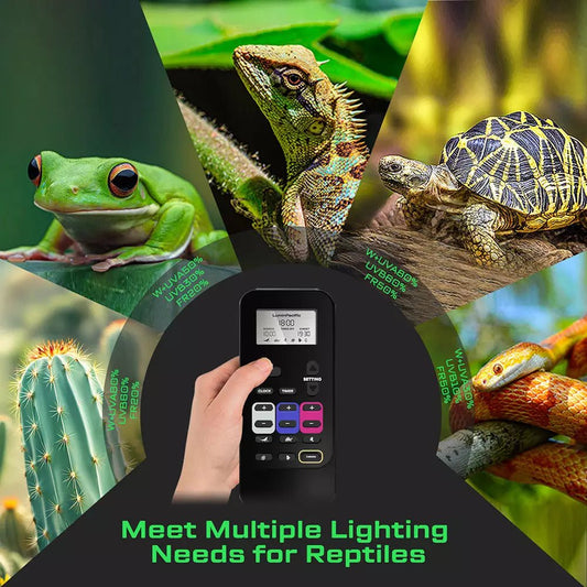 🦎💡 LuminPacific UVB Reptile Light — New Arrivals