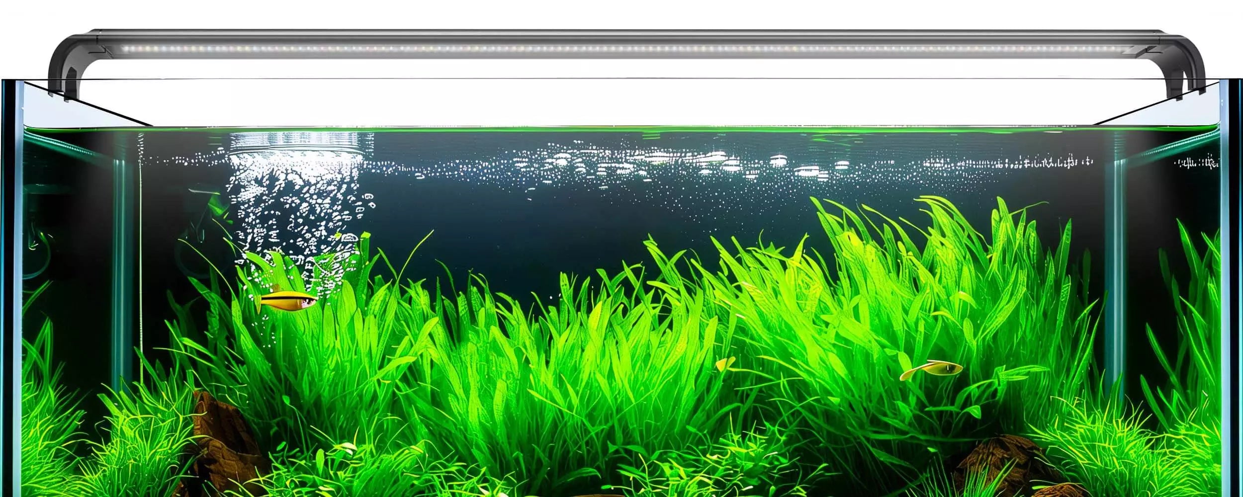 LuminPacific freshwater aquarium light promoting vibrant plant growth and natural colors