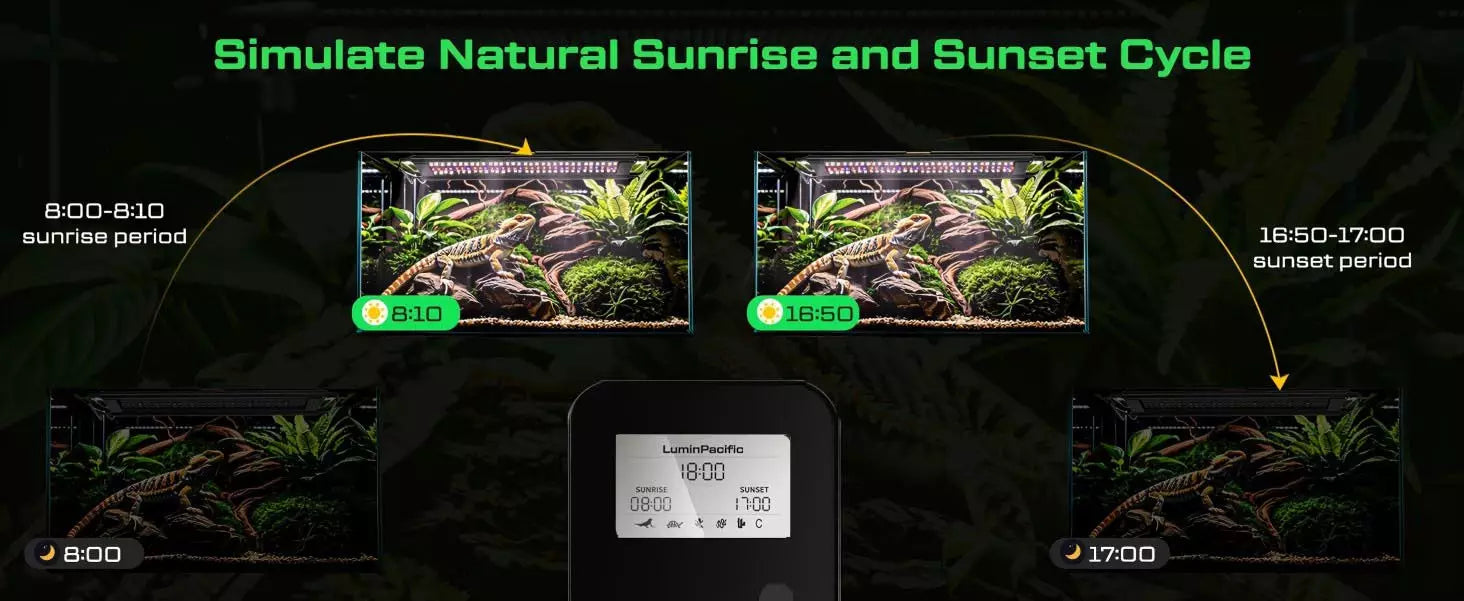 LuminPacific uvb reptile light simulate natural sunrise and sunset cycle