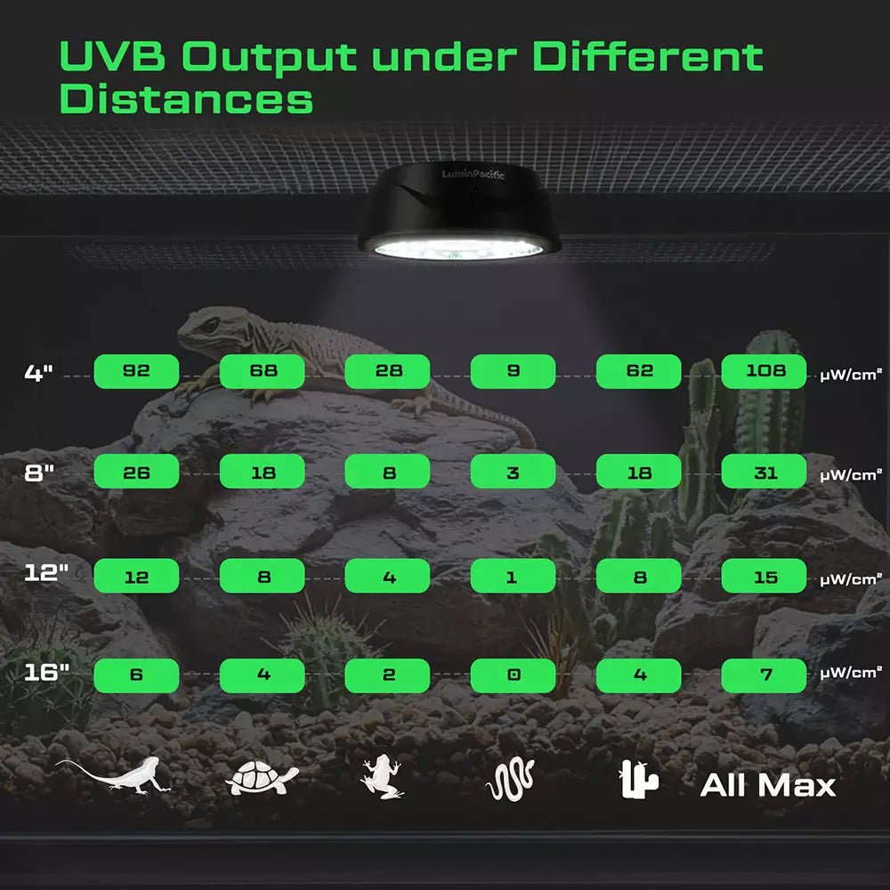 LuminPacific UVB output performance at different distances for reptile lighting