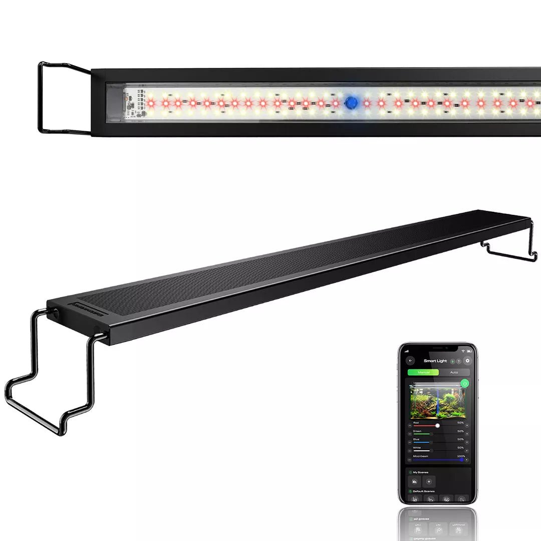 smart freshwater aquarium light with blue moonbeam 