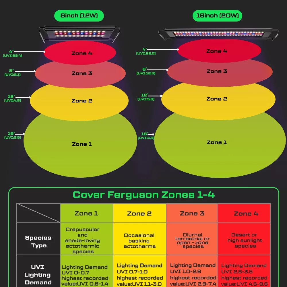 UVB reptile light covering Ferguson Zones 1–4 for different reptile species