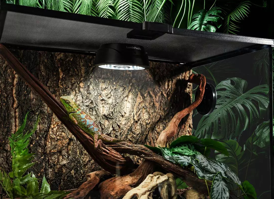 LuminPacific reptile UVB light with timer remote for terrarium setup